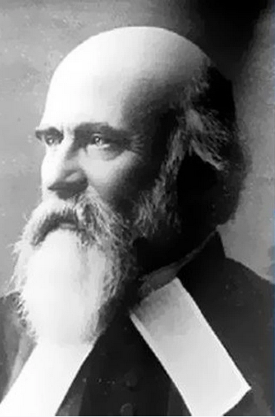 Моё  расследование салата Оливье